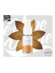 E-Liquide - GLOBE TROTTEUR 10ml - Petit Nuage - e-vapeonline.com