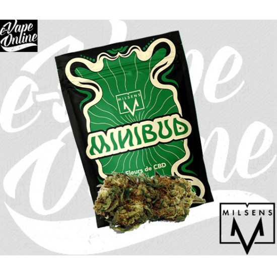 Fleurs CBD - MINI BUD 10G -...