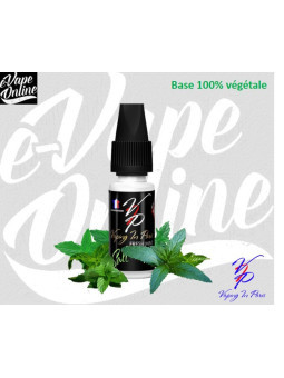 Sels de nicotine - FRESH MINT 10ml - Vaping in Paris - e-vapeonline.com