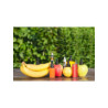 Saveurs Fruités