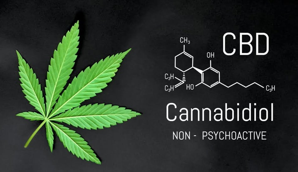 Mieux comprendre le CBD